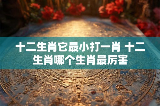 十二生肖它最小打一肖 十二生肖哪个生肖最厉害