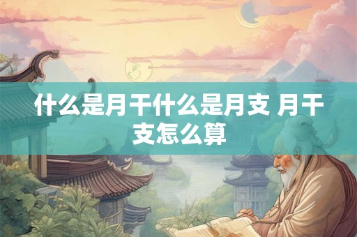 什么是月干什么是月支 月干支怎么算