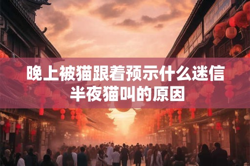 晚上被猫跟着预示什么迷信 半夜猫叫的原因