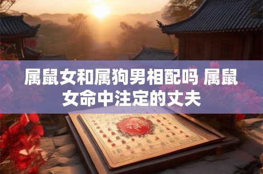 属鼠女和属狗男相配吗 属鼠女命中注定的丈夫