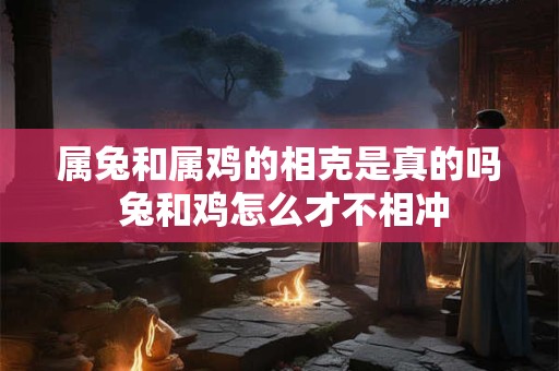 属兔和属鸡的相克是真的吗 兔和鸡怎么才不相冲