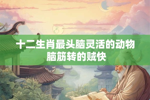 十二生肖最头脑灵活的动物 脑筋转的贼快