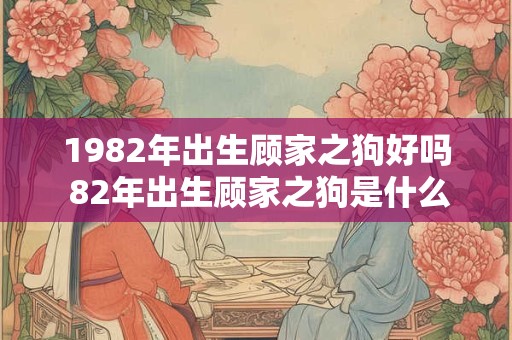 1982年出生顾家之狗好吗 82年出生顾家之狗是什么命