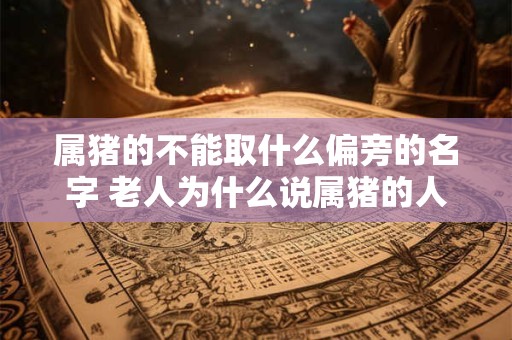 属猪的不能取什么偏旁的名字 老人为什么说属猪的人有福气