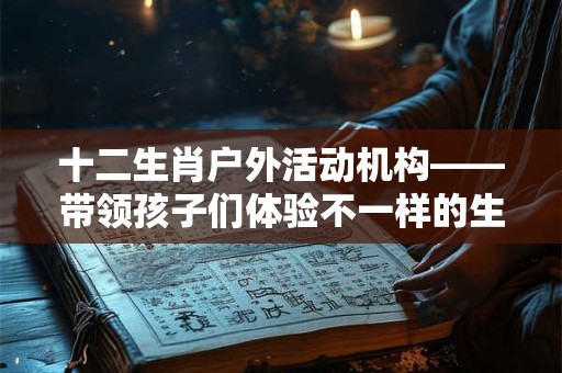 十二生肖户外活动机构——带领孩子们体验不一样的生肖文化