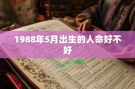 1988年5月出生的人命好不好