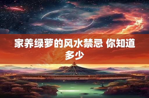 家养绿萝的风水禁忌 你知道多少