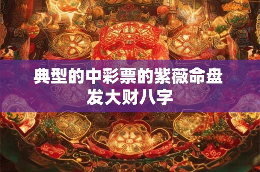 典型的中彩票的紫薇命盘 发大财八字