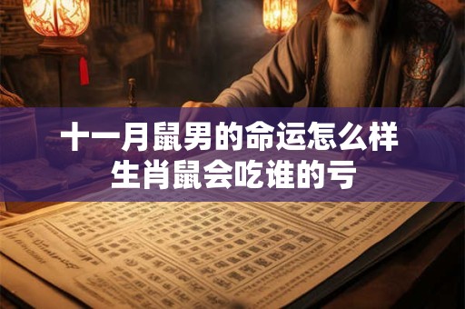 十一月鼠男的命运怎么样 生肖鼠会吃谁的亏