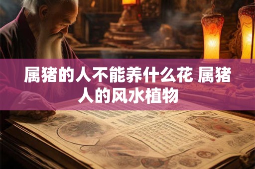 属猪的人不能养什么花 属猪人的风水植物