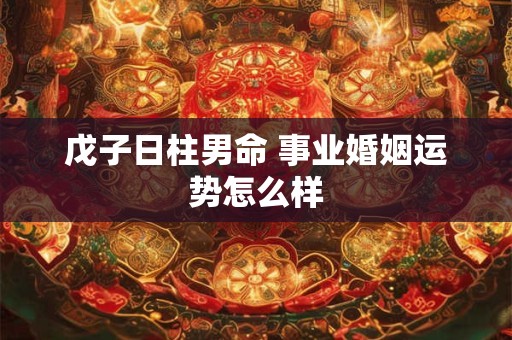 戊子日柱男命 事业婚姻运势怎么样