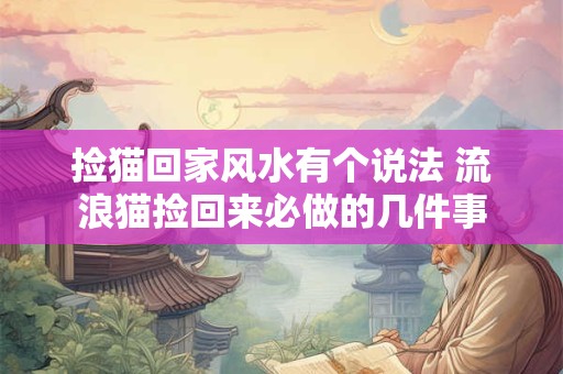 捡猫回家风水有个说法 流浪猫捡回来必做的几件事