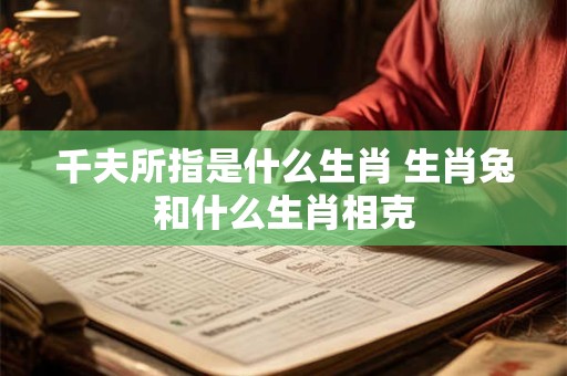 千夫所指是什么生肖 生肖兔和什么生肖相克