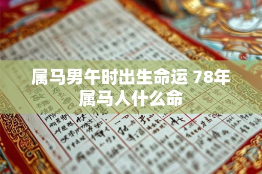 属马男午时出生命运 78年属马人什么命