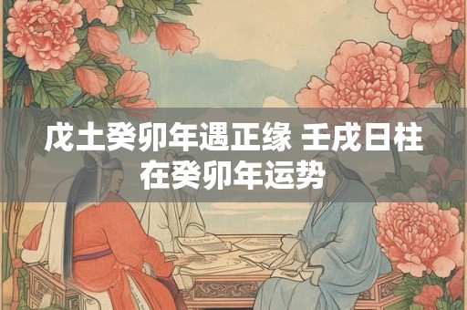戊土癸卯年遇正缘 壬戌日柱在癸卯年运势