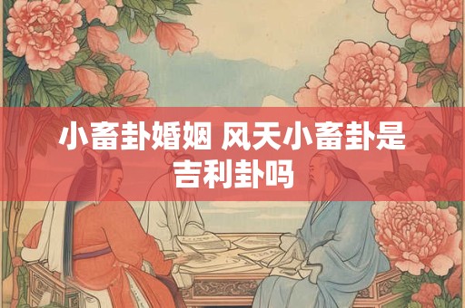 小畜卦婚姻 风天小畜卦是吉利卦吗