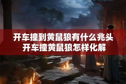 开车撞到黄鼠狼有什么兆头 开车撞黄鼠狼怎样化解
