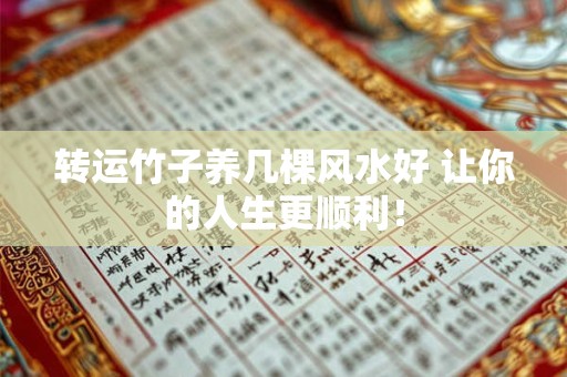 转运竹子养几棵风水好 让你的人生更顺利！