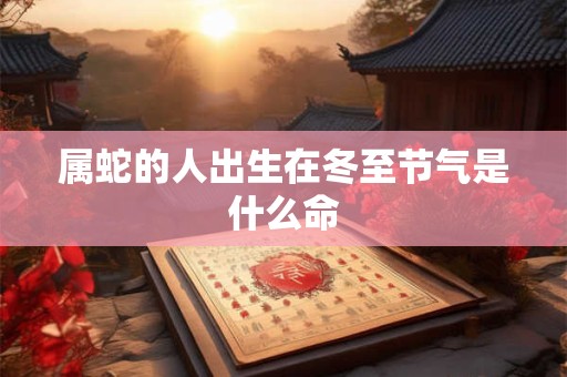 属蛇的人出生在冬至节气是什么命