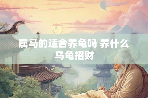 属马的适合养龟吗 养什么乌龟招财