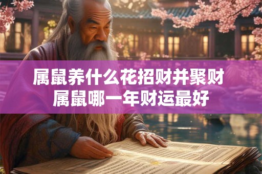 属鼠养什么花招财并聚财 属鼠哪一年财运最好