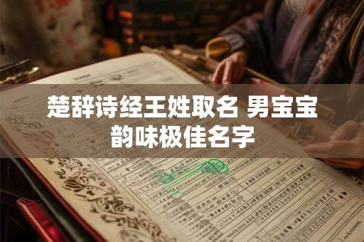 楚辞诗经王姓取名 男宝宝韵味极佳名字