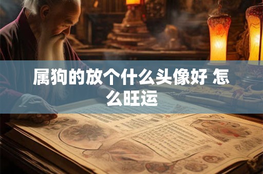 属狗的放个什么头像好 怎么旺运