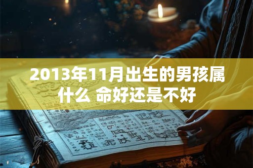 2013年11月出生的男孩属什么 命好还是不好