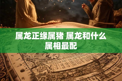 属龙正缘属猪 属龙和什么属相最配