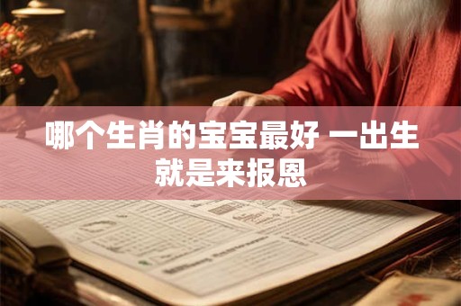 哪个生肖的宝宝最好 一出生就是来报恩