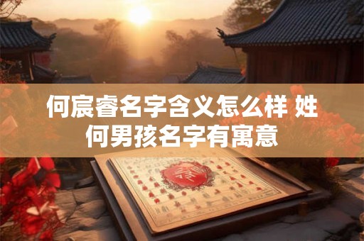 何宸睿名字含义怎么样 姓何男孩名字有寓意
