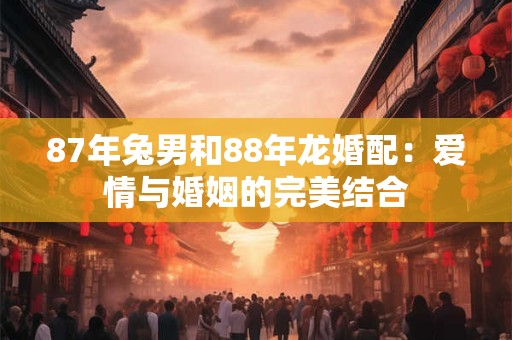 87年兔男和88年龙婚配：爱情与婚姻的完美结合