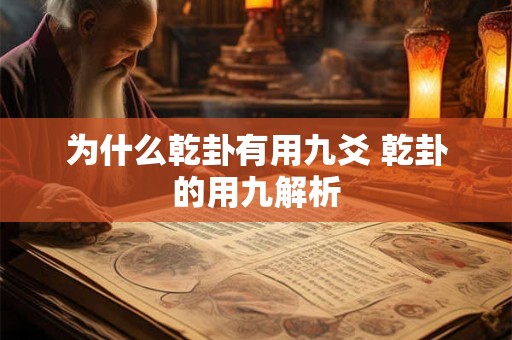 为什么乾卦有用九爻 乾卦的用九解析