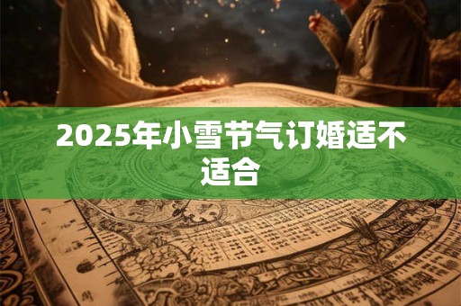 2026年小雪节气订婚适不适合