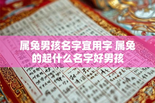 属兔男孩名字宜用字 属兔的起什么名字好男孩