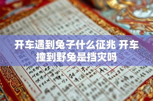 开车遇到兔子什么征兆 开车撞到野兔是挡灾吗