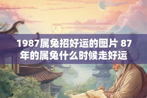1987属兔招好运的图片 87年的属兔什么时候走好运