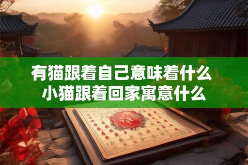 有猫跟着自己意味着什么 小猫跟着回家寓意什么