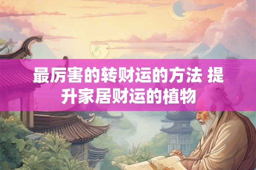 最厉害的转财运的方法 提升家居财运的植物
