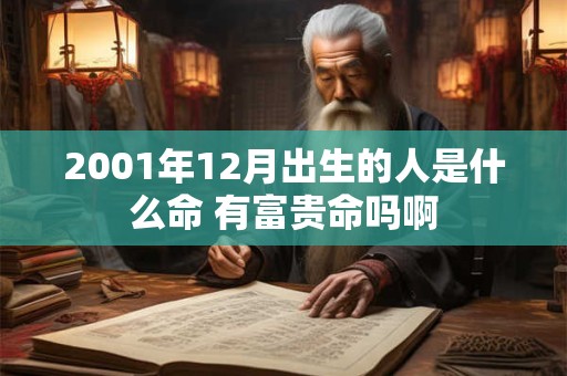 2001年12月出生的人是什么命 有富贵命吗啊