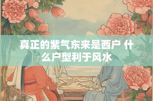 真正的紫气东来是西户 什么户型利于风水