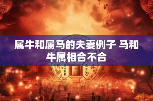 属牛和属马的夫妻例子 马和牛属相合不合