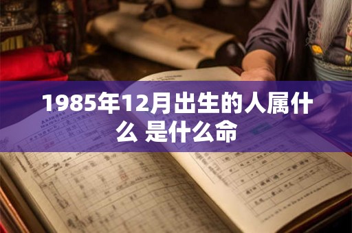 1985年12月出生的人属什么 是什么命