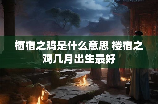 栖宿之鸡是什么意思 楼宿之鸡几月出生最好