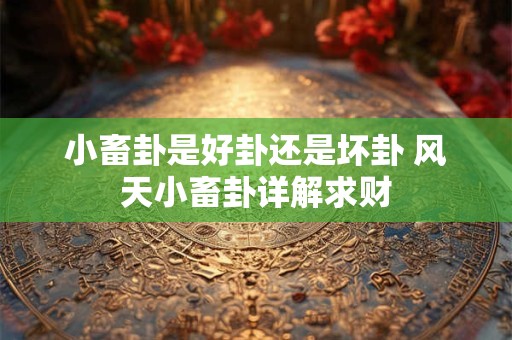 小畜卦是好卦还是坏卦 风天小畜卦详解求财