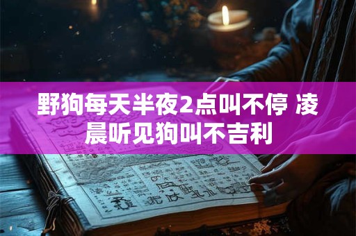 详细阅读:野狗每天半夜2点叫不停 凌晨听见狗叫不吉利 野狗每天半夜2点叫不停 凌晨听见狗叫不吉利