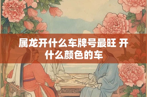 属龙开什么车牌号最旺 开什么颜色的车