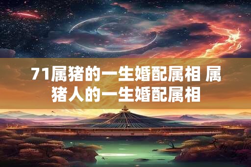 71属猪的一生婚配属相 属猪人的一生婚配属相