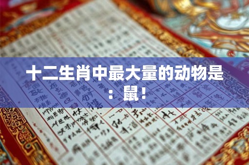 十二生肖中最大量的动物是：鼠！