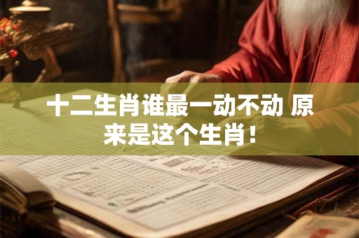 十二生肖谁最一动不动 原来是这个生肖！